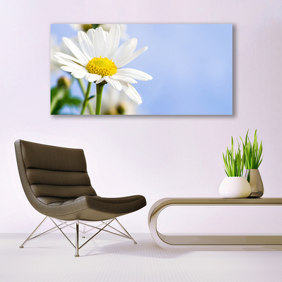 Canvas Wall art Daisy floral yellow white