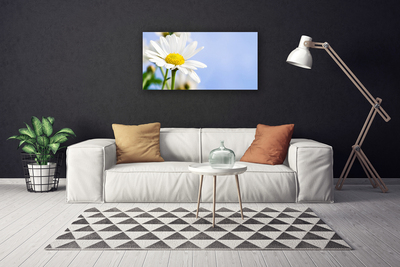 Canvas Wall art Daisy floral yellow white