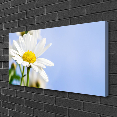 Canvas Wall art Daisy floral yellow white