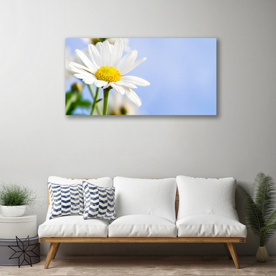 Canvas Wall art Daisy floral yellow white