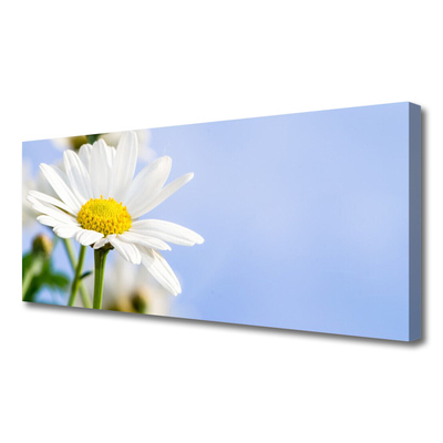 Canvas Wall art Daisy floral yellow white