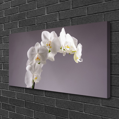 Canvas Wall art Flowers floral white