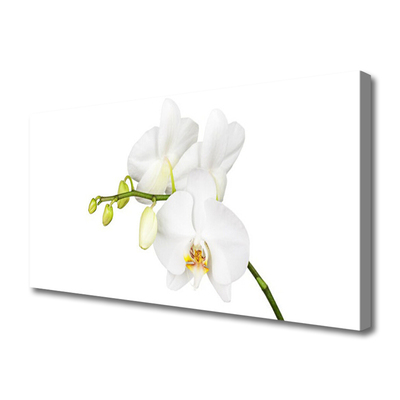 Canvas Wall art Flowers floral white