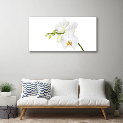 Canvas Wall art Flowers floral white