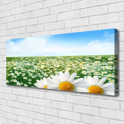 Canvas Wall art Meadow daisies floral green white yellow