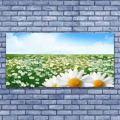 Canvas Wall art Meadow daisies floral green white yellow