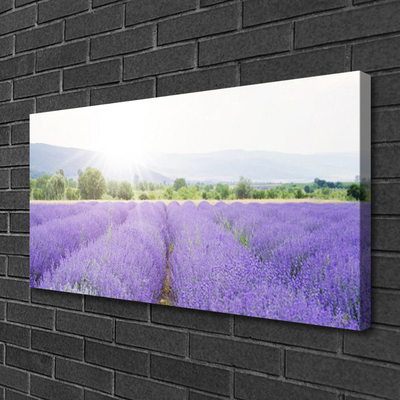 Canvas Wall art Meadow flowers nature purple