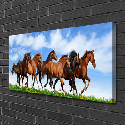 Canvas Wall art Horses animals brown white