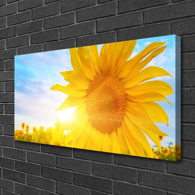 Canvas Wall art Sunflower floral yellow