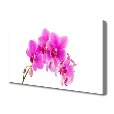 Canvas Wall art Flowers floral pink