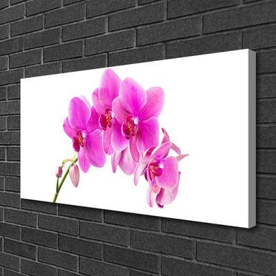 Canvas Wall art Flowers floral pink