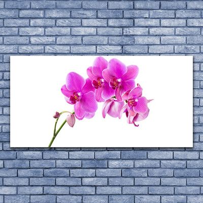 Canvas Wall art Flowers floral pink