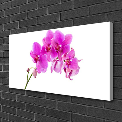 Canvas Wall art Flowers floral pink