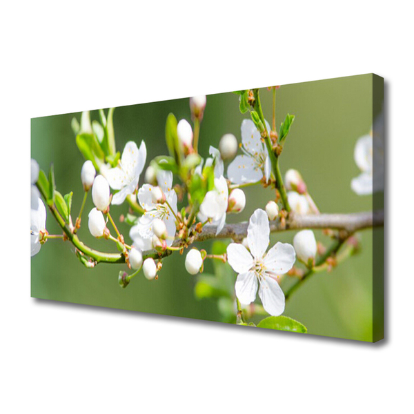 Canvas Wall art Branches flowers floral green white