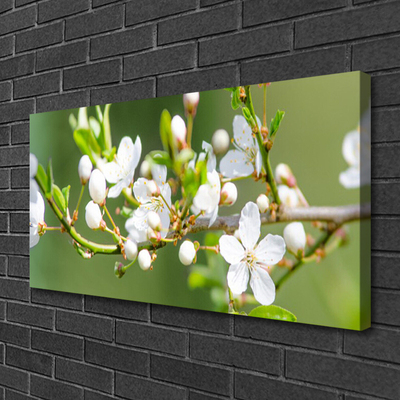 Canvas Wall art Branches flowers floral green white