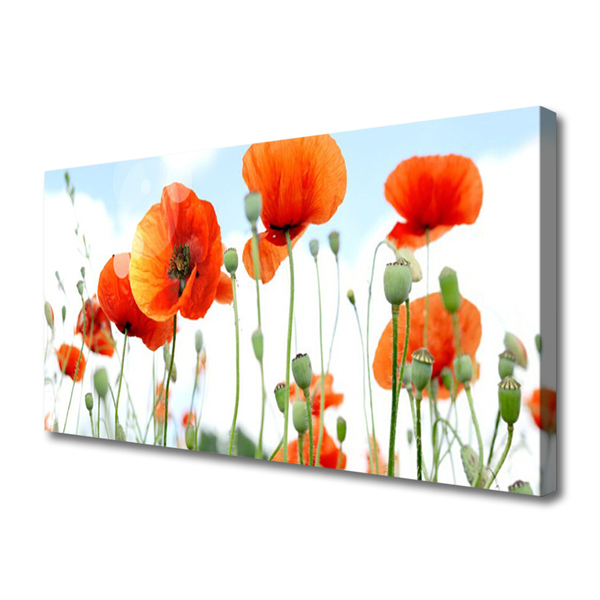 Canvas Wall art Poppies floral red