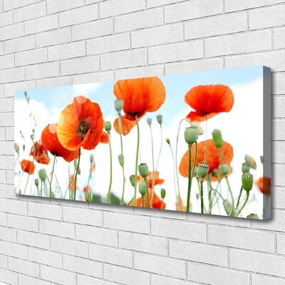 Canvas Wall art Poppies floral red