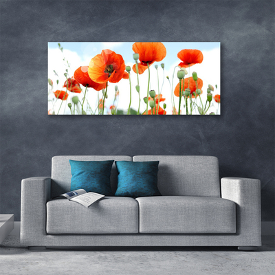 Canvas Wall art Poppies floral red