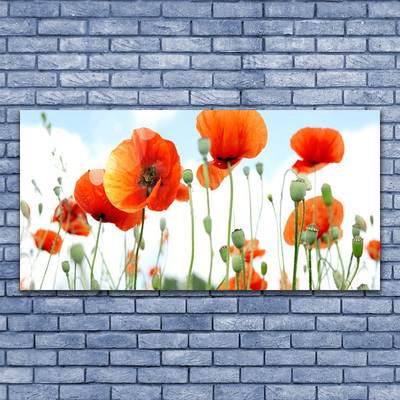 Canvas Wall art Poppies floral red