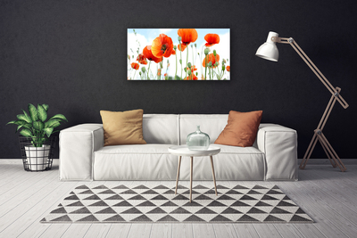 Canvas Wall art Poppies floral red