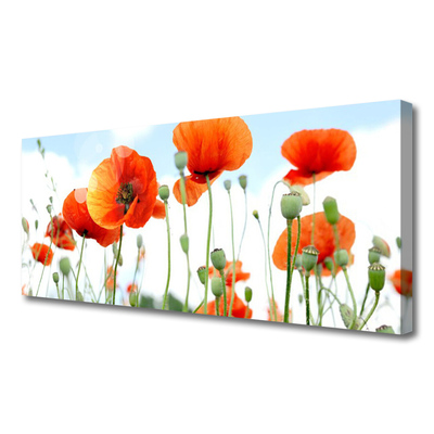 Canvas Wall art Poppies floral red