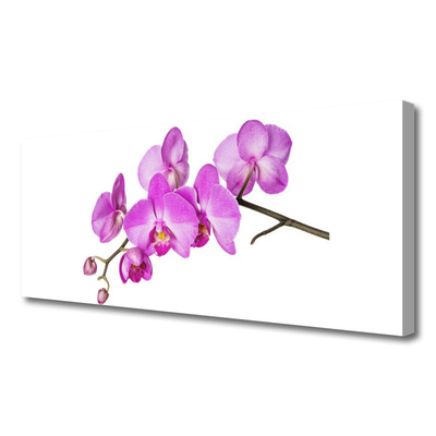 Canvas Wall art Flowers floral pink