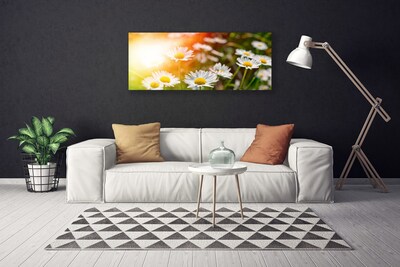 Canvas Wall art Daisy floral yellow white green