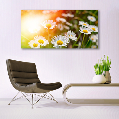 Canvas Wall art Daisy floral yellow white green