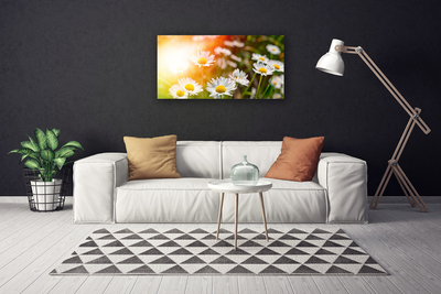 Canvas Wall art Daisy floral yellow white green