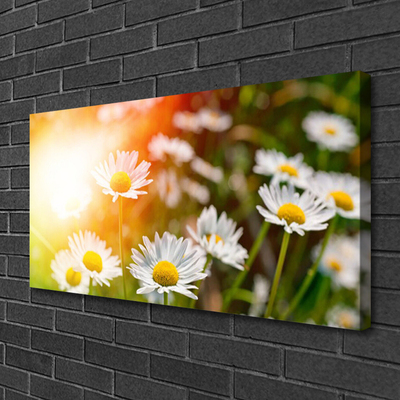 Canvas Wall art Daisy floral yellow white green