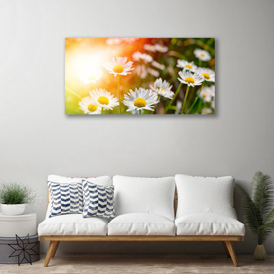 Canvas Wall art Daisy floral yellow white green