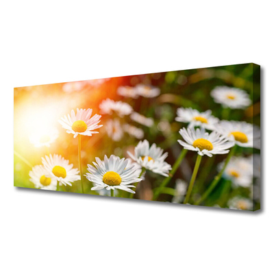 Canvas Wall art Daisy floral yellow white green