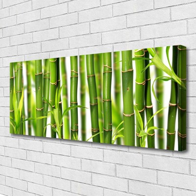 Canvas Wall art Bamboo stalks floral green