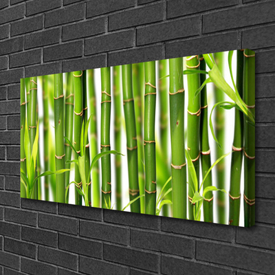 Canvas Wall art Bamboo stalks floral green