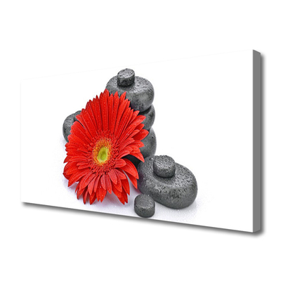 Canvas Wall art Flower stones floral red grey