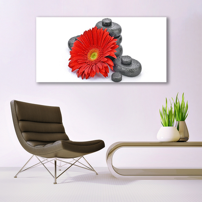 Canvas Wall art Flower stones floral red grey