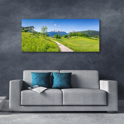 Canvas Wall art Meadow footpath nature green brown