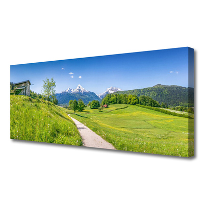Canvas Wall art Meadow footpath nature green brown