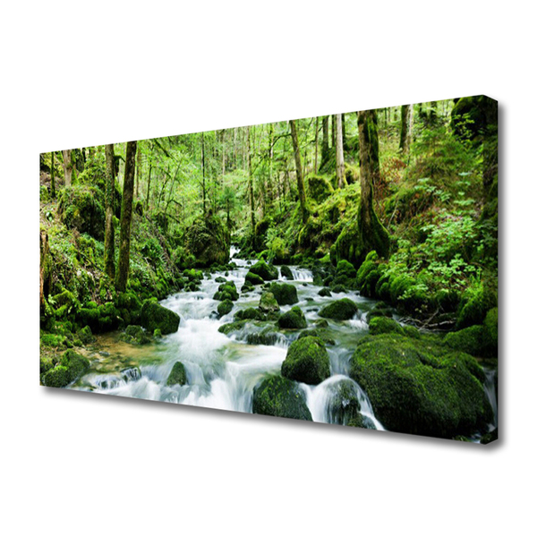 Canvas Wall art Forest lake stones nature brown green white