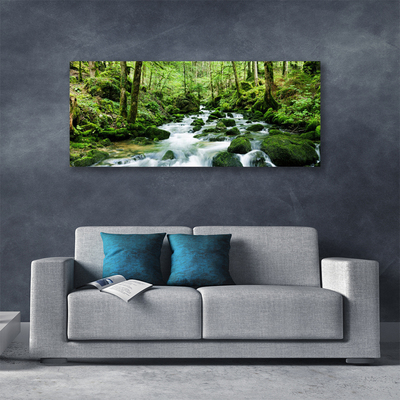 Canvas Wall art Forest lake stones nature brown green white