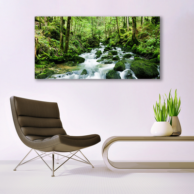 Canvas Wall art Forest lake stones nature brown green white