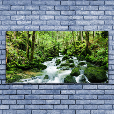 Canvas Wall art Forest lake stones nature brown green white