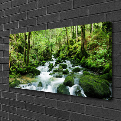 Canvas Wall art Forest lake stones nature brown green white