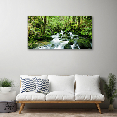 Canvas Wall art Forest lake stones nature brown green white