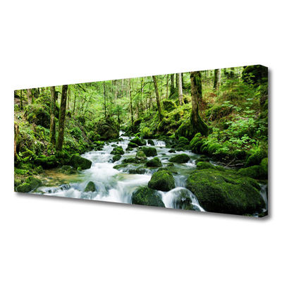 Canvas Wall art Forest lake stones nature brown green white