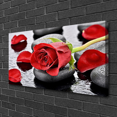 Canvas Wall art Rose stones floral red grey