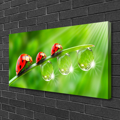 Canvas Wall art Grass ladybug drops of dew floral green black red
