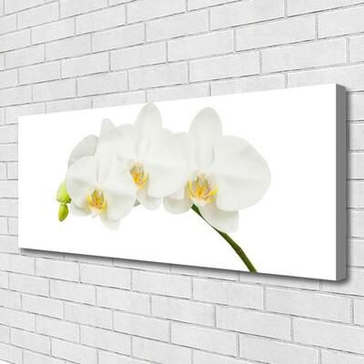 Canvas Wall art Flowers floral white