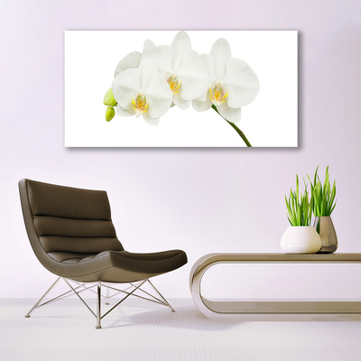 Canvas Wall art Flowers floral white