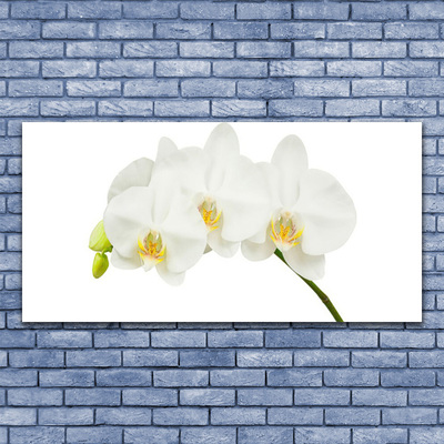 Canvas Wall art Flowers floral white